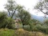 Terreno Agricolo in vendita da ristrutturare a Camaiore in greppolungo - 03, Foto 3