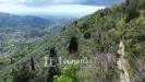 Terreno Agricolo in vendita da ristrutturare a Camaiore in greppolungo - 09, Foto 10