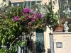 Appartamento in vendita con giardino a Viareggio in via de amicis - 02, Foto 2