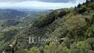 Terreno Agricolo in vendita da ristrutturare a Camaiore in greppolungo - 02, Foto 2
