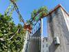 Casa indipendente in vendita con giardino a Massarosa in via della fornace - 04, Foto 4