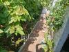 Casa indipendente in vendita con giardino a Massarosa in via della fornace - 05, Foto 5