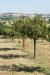 Villa in vendita con giardino a Potenza Picena - 10, Foto 10