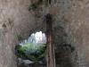 Rustico in vendita con giardino a Montefalcone Appennino in localit aso - 07, Foto 7