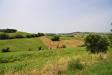 Terreno Agricolo in vendita a Torre San Patrizio in contrada rio del bove - 04, Foto 4