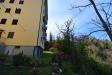 Appartamento in vendita a Montedinove in borgo san tommaso 1 - 05, Foto 5