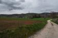 Terreno Agricolo in vendita a Sarnano in contrada schito - 06, Foto 6