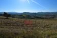 Terreno Agricolo in vendita a Carassai in contrada menocchia - 02, Foto 2