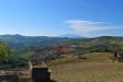 Terreno Agricolo in vendita a Carassai in contrada menocchia - 05, Foto 5