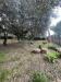 Villa in affitto arredato a Minturno - 07, IMG_9474.JPEG