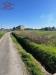 Terreno Agricolo in vendita a Capannori in via del fanuccio - 03, Foto 3