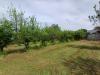 Terreno Agricolo in vendita a Fiuggi in via capo le ripe - 02, Foto 2