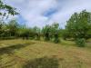 Terreno Agricolo in vendita a Fiuggi in via capo le ripe - 03, Foto 3