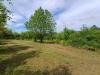 Terreno Agricolo in vendita a Fiuggi in via capo le ripe - 05, Foto 5