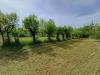 Terreno Agricolo in vendita a Fiuggi in via capo le ripe - 07, Foto 7