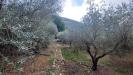 Terreno Agricolo in vendita a Sonnino in valle castagna - 02, Foto 2