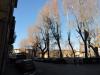 Appartamento in affitto arredato a Pisa - san francesco - 02