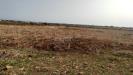 Terreno Agricolo in vendita a Siracusa - 09, Foto 9