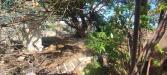 Villa in vendita da ristrutturare a Siracusa in via orazio nelson 8 - 03, Foto 3