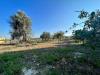 Villa in vendita con giardino a Siracusa in ippodromo/spinagallo - 10, Foto 10