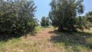 Terreno Agricolo in vendita a Floridia in contrada cogno di canne - 04, Foto 4