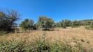 Terreno Agricolo in vendita a Avola in contrada risicone - 04, Foto 4