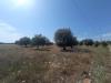 Terreno Agricolo in vendita a Siracusa in strada benali snc - 02, Foto 2