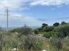 Terreno Agricolo in vendita a Noto in cugni - 04, Foto 4