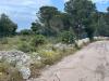 Terreno Agricolo in vendita a Noto in cugni - 06, Foto 6