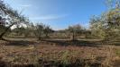 Terreno Agricolo in vendita a Noto in strada stallaini - 05, Foto 5