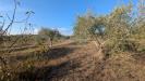 Terreno Agricolo in vendita a Noto in strada stallaini - 08, Foto 8