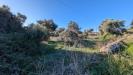 Terreno Agricolo in vendita a Siracusa in strada benali snc - 04, Foto 4