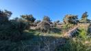 Terreno Agricolo in vendita a Siracusa in strada benali snc - 06, Foto 6