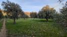 Terreno Agricolo in vendita a Sortino in contrada villa cesarea snc - 10, Foto 10