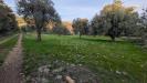 Terreno Agricolo in vendita a Sortino in contrada villa cesarea snc - 08, Foto 8