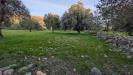 Terreno Agricolo in vendita a Sortino in contrada villa cesarea snc - 09, Foto 9