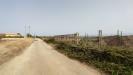 Terreno Agricolo in vendita a Siracusa in contrada fonatana mortella snc - 06, Foto 6