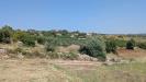 Terreno Agricolo in vendita a Floridia in contrada cugno di canne - 07, Foto 7