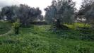 Terreno Agricolo in vendita a Siracusa in traversa case bianche - 10, Foto 10