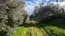 Terreno Agricolo in vendita a Siracusa in traversa case bianche - 07, Foto 7