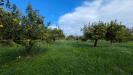 Terreno Agricolo in vendita a Siracusa in traversa case bianche - 08, Foto 8
