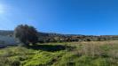 Terreno Agricolo in vendita a Siracusa in traversa bosco - 04, Foto 4
