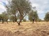 Terreno Agricolo in vendita a Siracusa in strada laganelli - 08, Foto 8