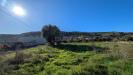Terreno Agricolo in vendita a Siracusa in monasteri di sotto - 05, Foto 5