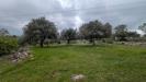 Terreno Agricolo in vendita a Sortino in contrada specchio - 10, Foto 10