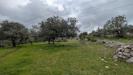 Terreno Agricolo in vendita a Sortino in contrada specchio - 03, Foto 3