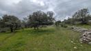 Terreno Agricolo in vendita a Sortino in contrada specchio - 04, Foto 4