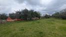 Terreno Agricolo in vendita a Sortino in contrada specchio - 06, Foto 6
