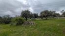 Terreno Agricolo in vendita a Sortino in contrada specchio - 08, Foto 8