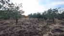 Terreno Agricolo in vendita a Floridia in contrada raiana snc - 03, Foto 3